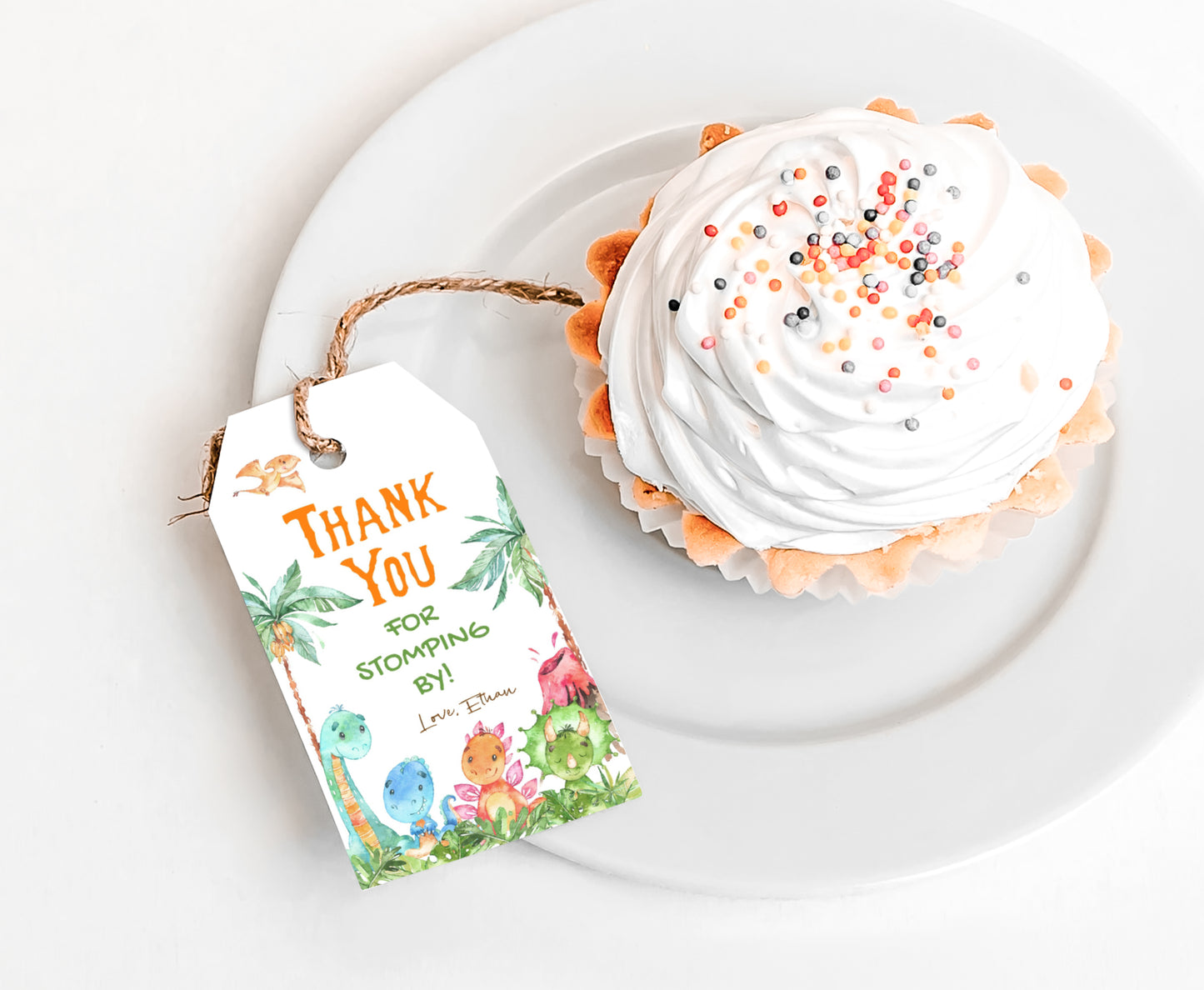 Editable Dinosaurs Thank You Tags | Dinosaurs Birthday Party Favor Tags - 08A