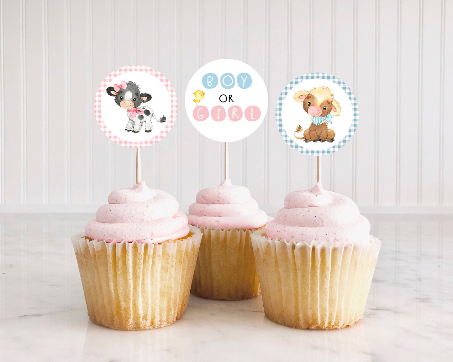 Farm Gender Reveal Cupcake Toppers | Cow Boy or Girl Cupcake Picks - 11C3