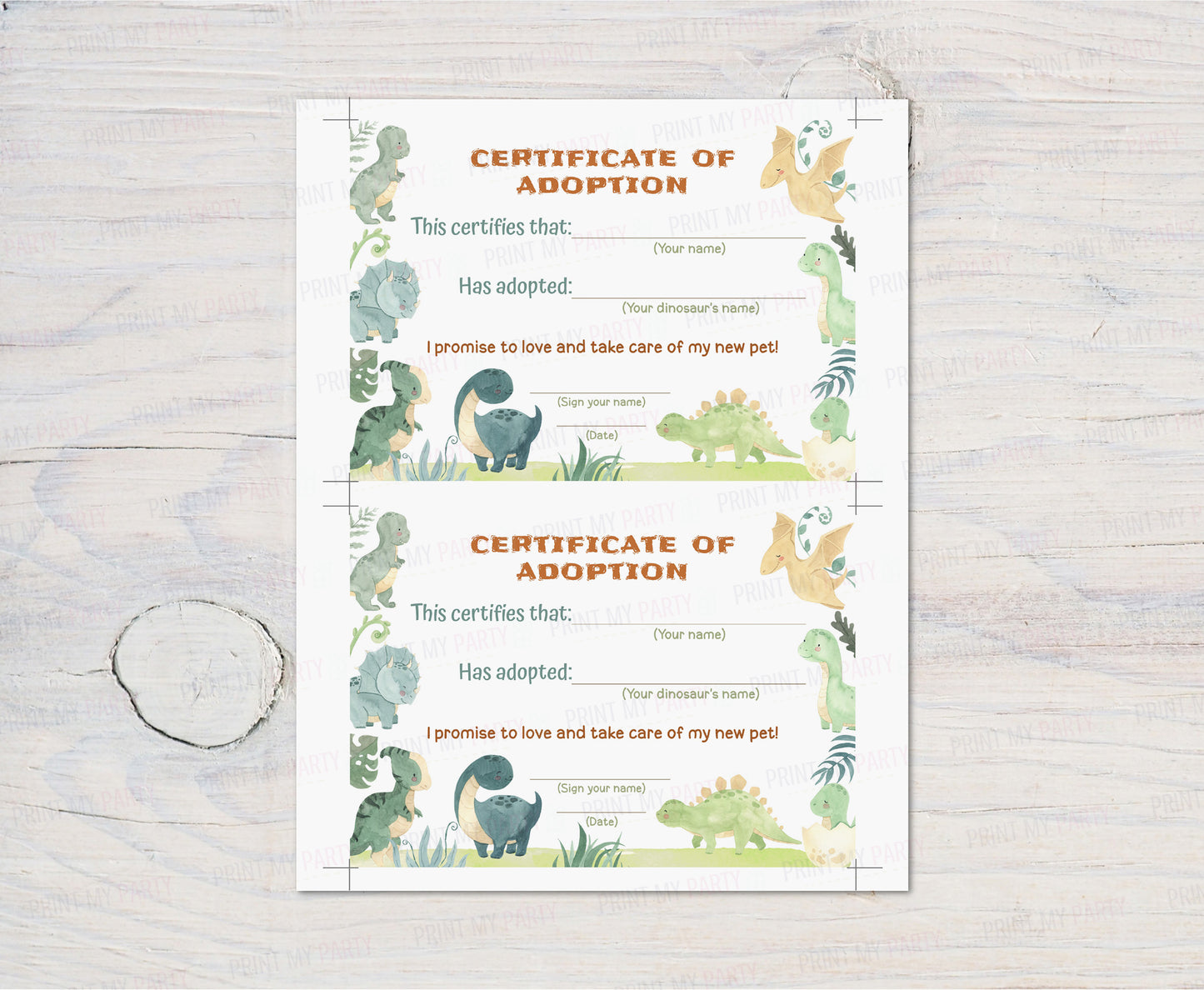 Dinosaur adoption certificate | Dinosaur birthday party - 08B
