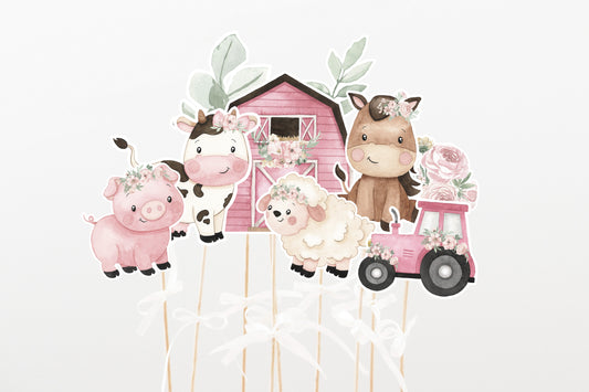 Girl Farm Centerpieces | Pink Barnyard Party Decorations - 11A