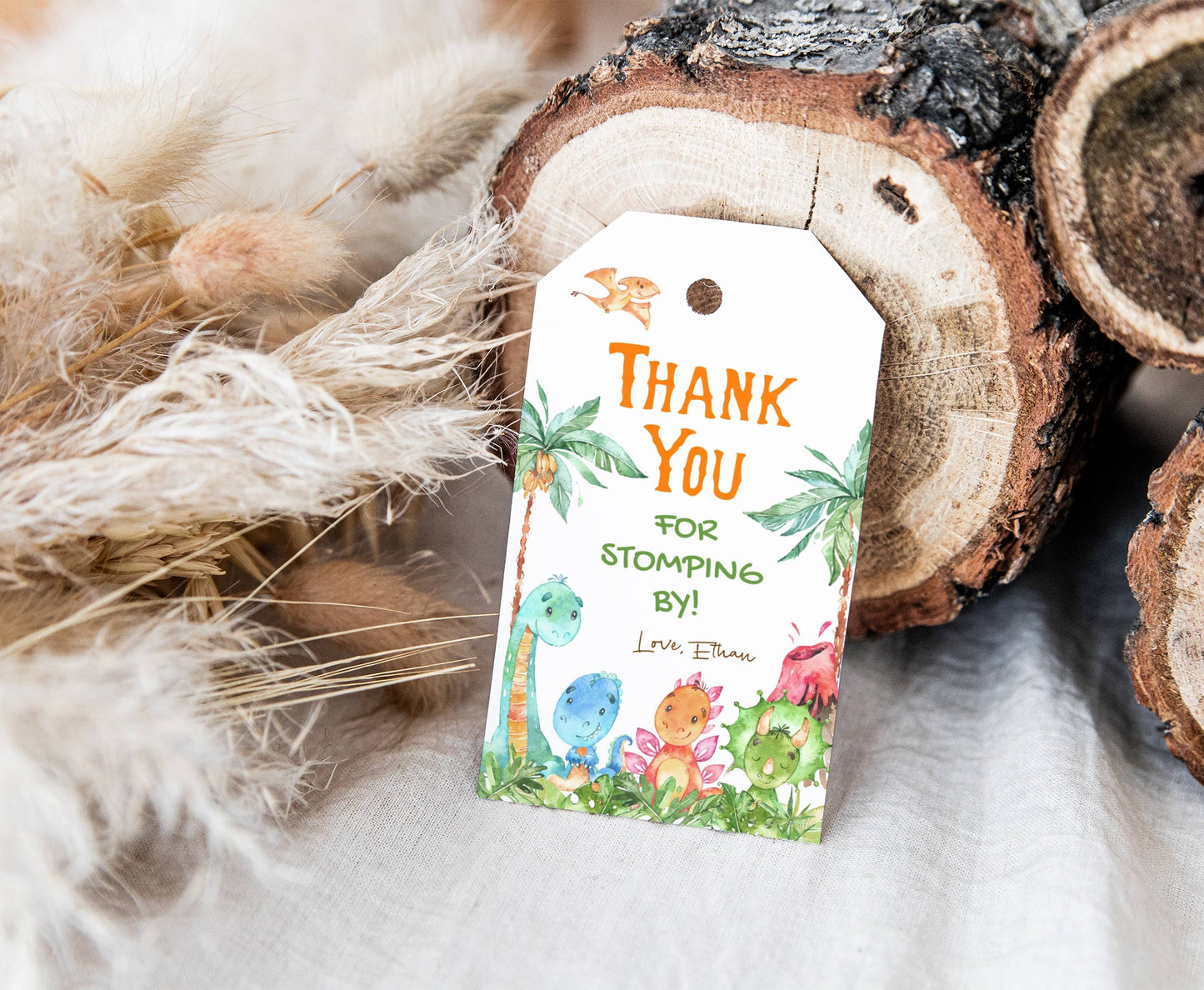 Editable Dinosaurs Thank You Tags | Dinosaurs Birthday Party Favor Tags - 08A