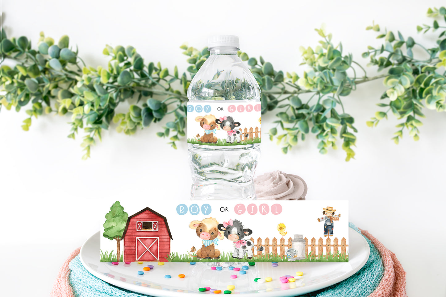 Farm Boy or Girl Water Bottle Labels | Cow Themed Gender Reveal Decorations - 11C3